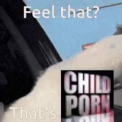 cat car window feel that thats text
