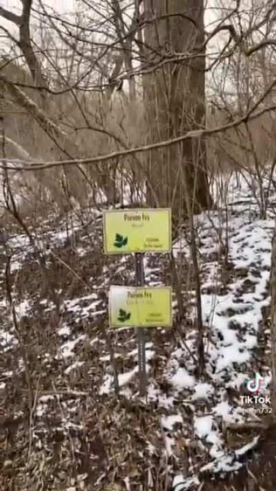Starved Rock State Park