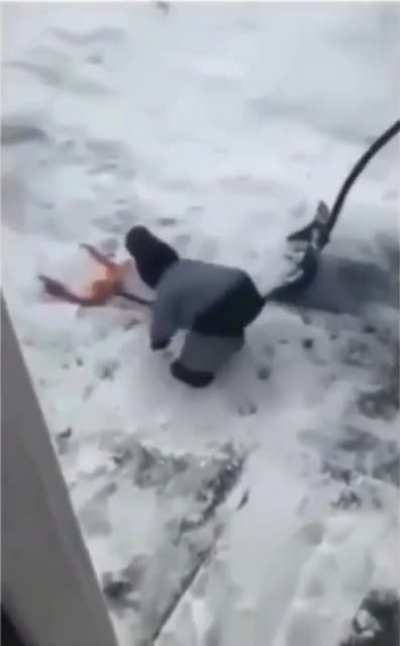 Toddler.exe has stopped working