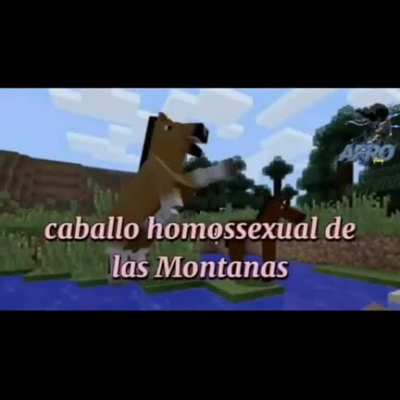 cavalo