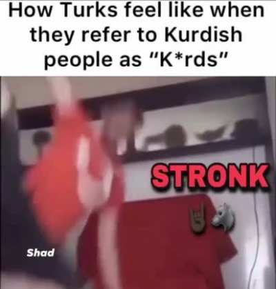 Where&rsquo;s k*rdistan 🐺 terr&ouml;ristler pekaka must pay for this 🇹🇷🇹🇷🇹🇷