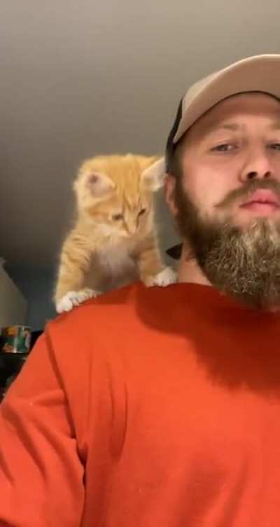 It seems I&rsquo;ve adopted a parrot