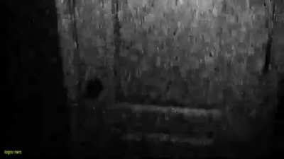 cursed_knocking