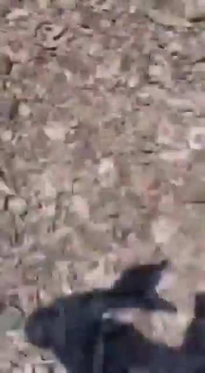 What could go wrong driving on an edge