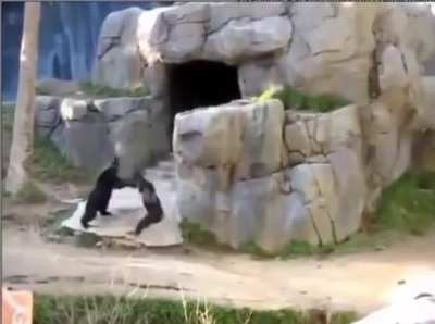 chat de orslok castigando a orslok por ser baneado