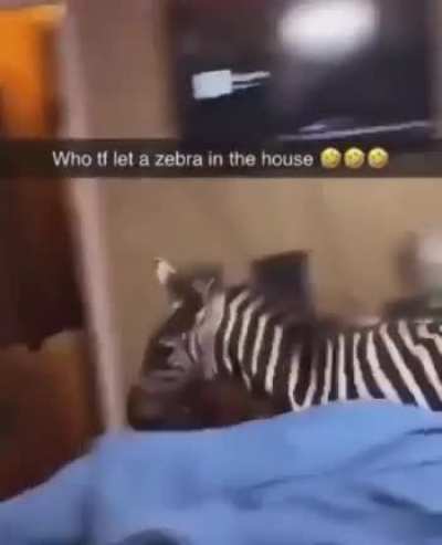 Neigh