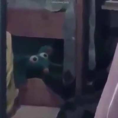 A N I M E G A Y 😫