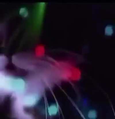 We finally have video proof of what lies beyond.
