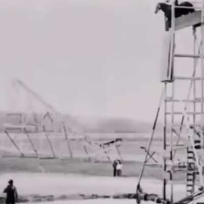 Horse Diving