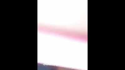 A dona abelha subiu pela parede...
