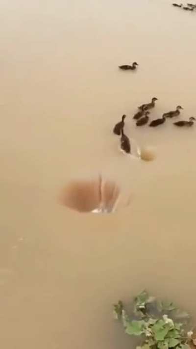 Drones finding the backdoor to the matrix