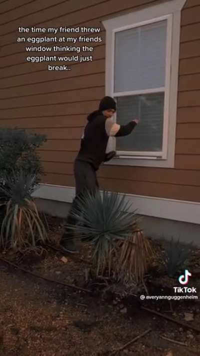 Kid throws an eggplant through a friend&rsquo;s window not realizing it would shatter