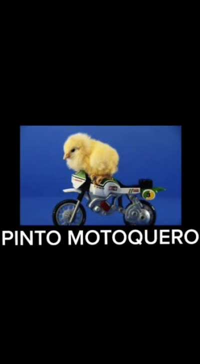Primeiro posto aqui galerinha kk '-'