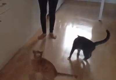 You saw nothing!