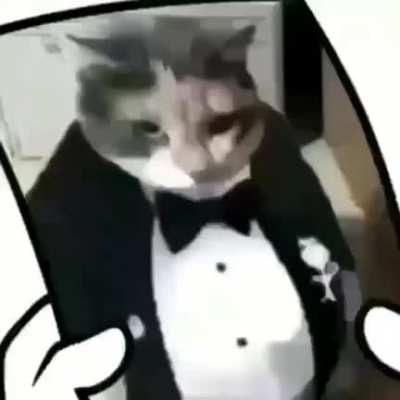 Mhhh kedy Celal şengör