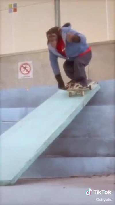 ouh ouh sick tricks