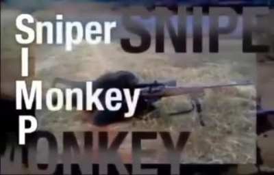 SIMP