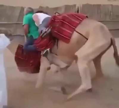 Transport problem