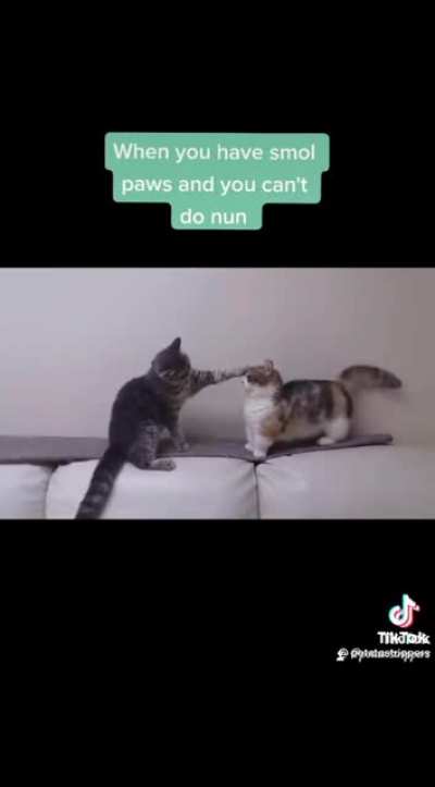 Smol paws