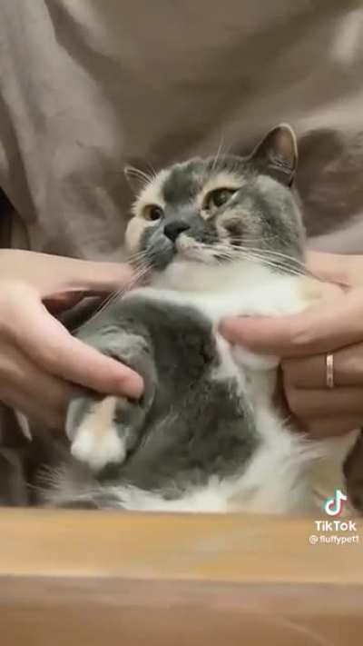 Kitty&rsquo;s got da moves!