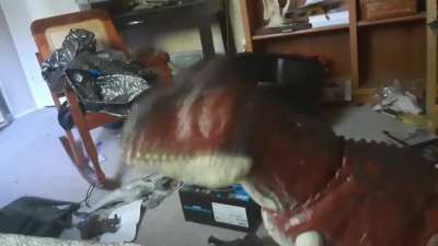 Vibing Carnotaurus