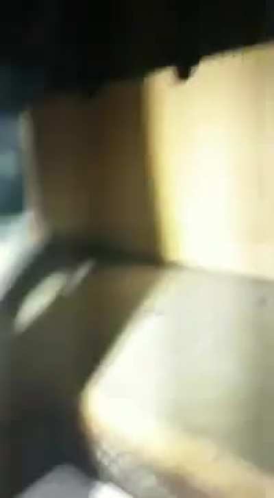Attics are Scary