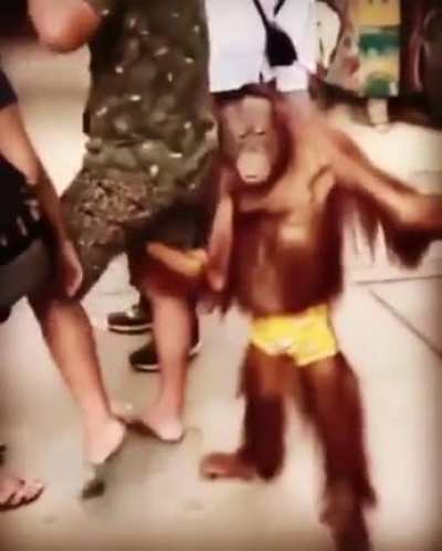 Y la mano?