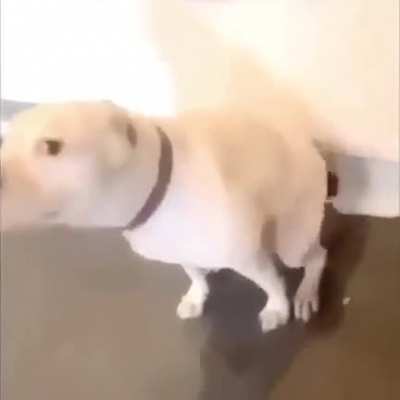 ( :