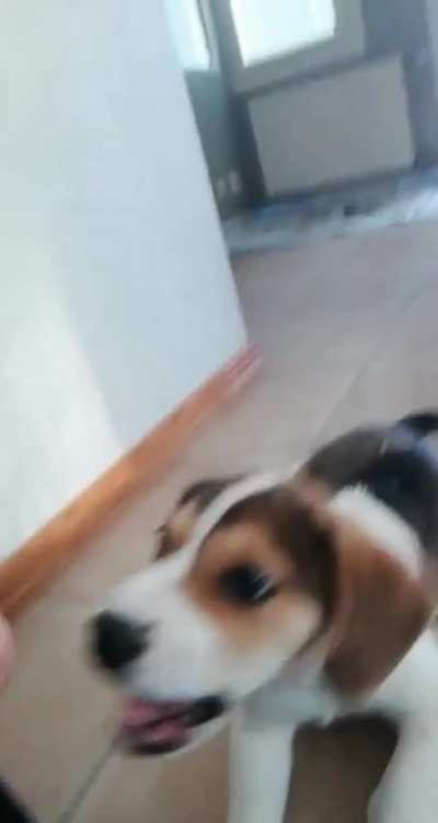 He screm