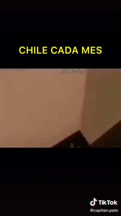 XD