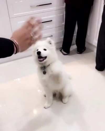 Hello!
