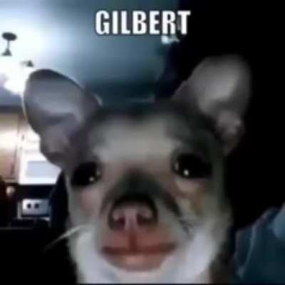 Eu posso estar enganado, mas esse Gilbert &eacute; muito bacana.