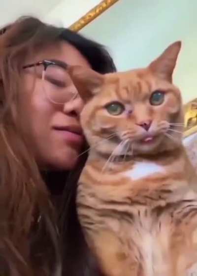 purrfectlycutscreams