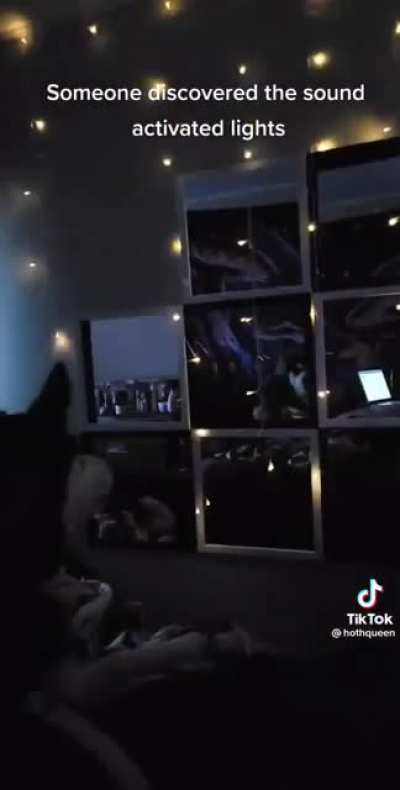 And dog said, &ldquo;let there be light&rdquo; and there was light
