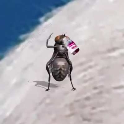 Just a clip from last night&rsquo;s debate...