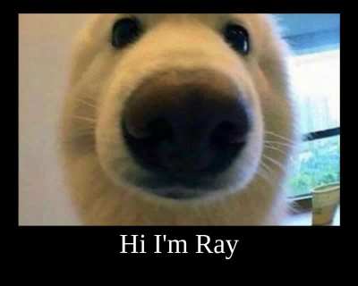 Hi