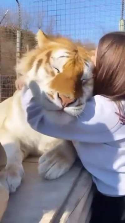 awwwwwww