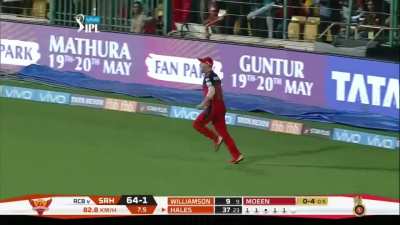 Which one is the best IPL catch of all time?