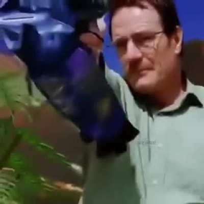 Walter en Halo