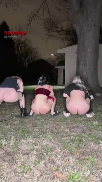 Piss races