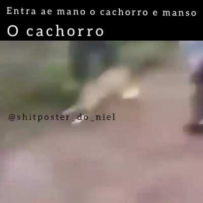 Vou n&atilde;o