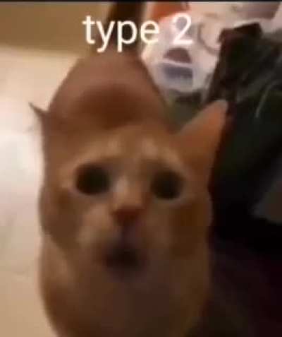 Si