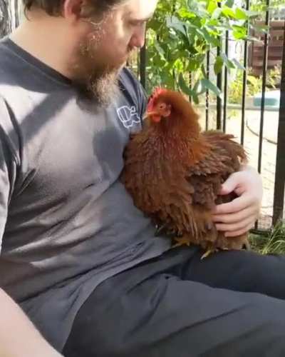 This is how you know Harriet wants to be hugged
