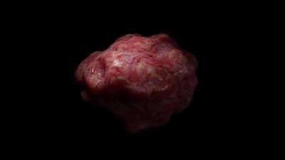 Meat thingy