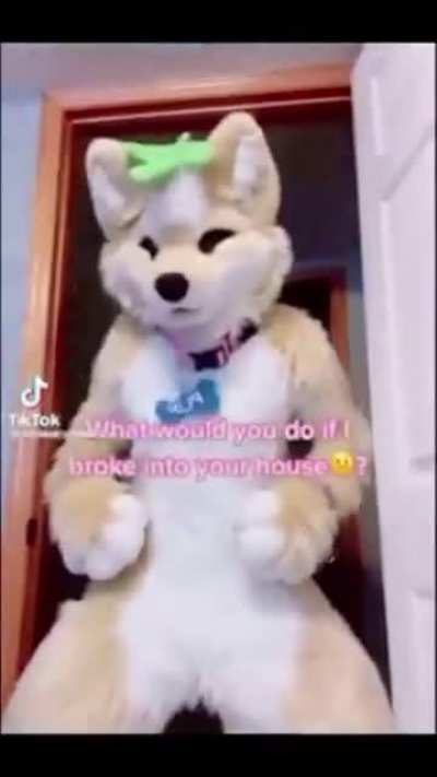 You dear sucker