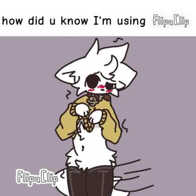 Furry_irl