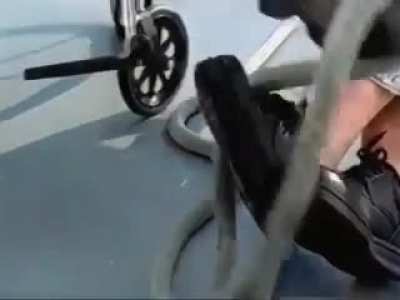Survival of the fittest