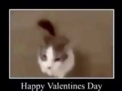 happy valentines day