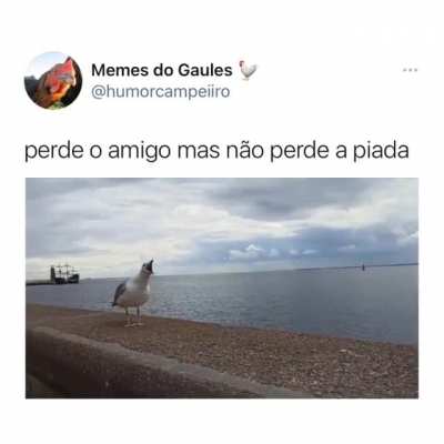 HAHAHAHAHA
