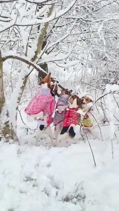 This is OUR stick!